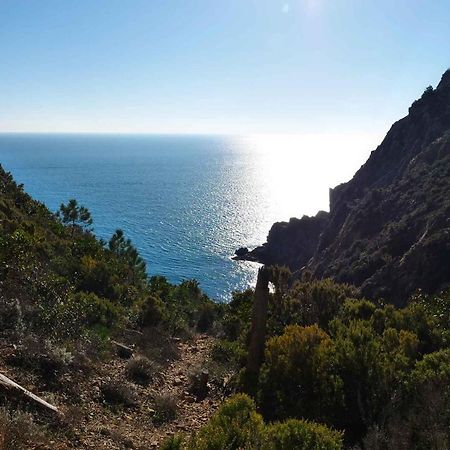 Il Cuore Di Moneglia - Moneglia Apartments Eksteriør bilde