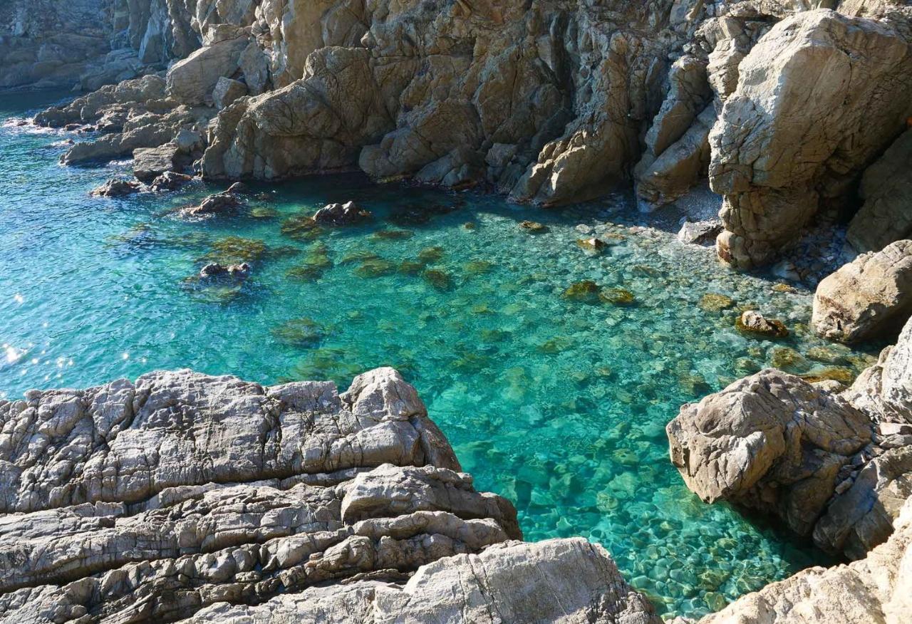 Il Cuore Di Moneglia - Moneglia Apartments Eksteriør bilde