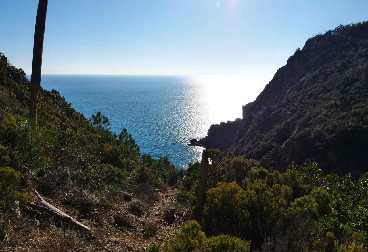 Il Cuore Di Moneglia - Moneglia Apartments Eksteriør bilde